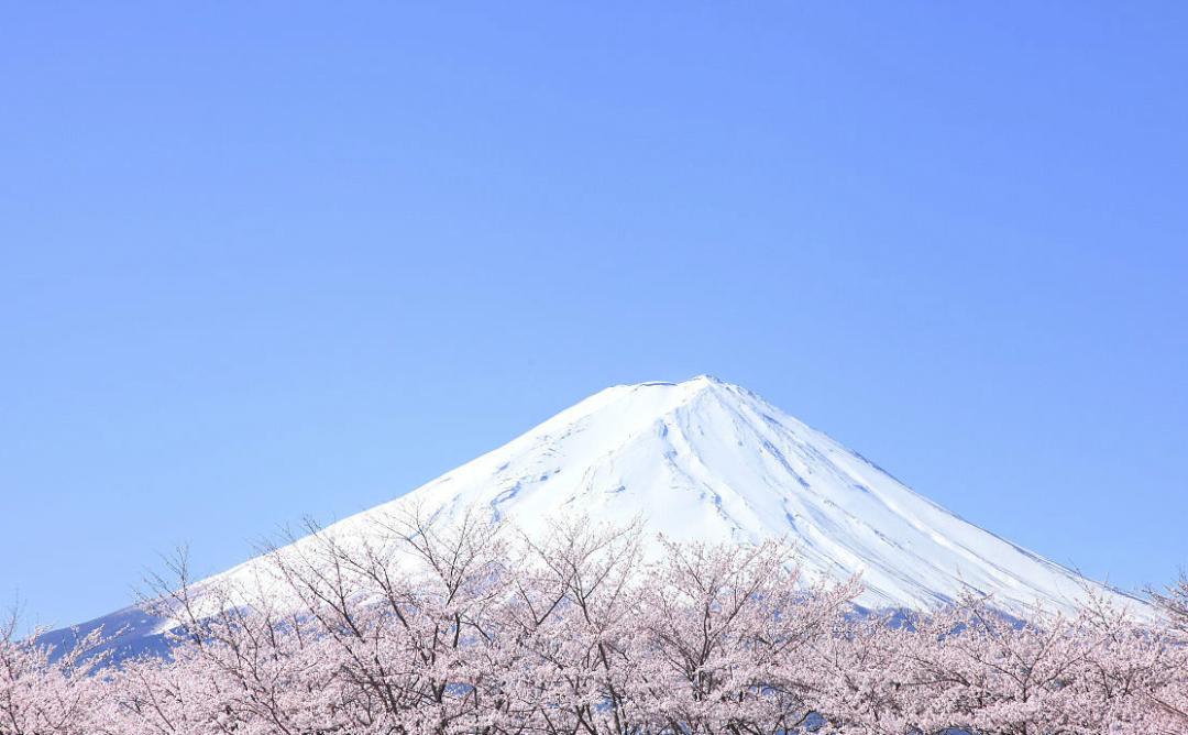 在山的那头、海的那边,有一群TOP10日本化妆品土著