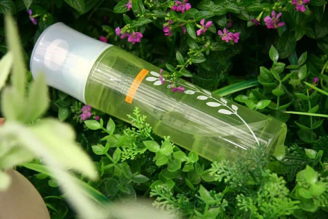 小C跑展|特有的植物智慧出新品 终于有人懂那些特有的敏感心事