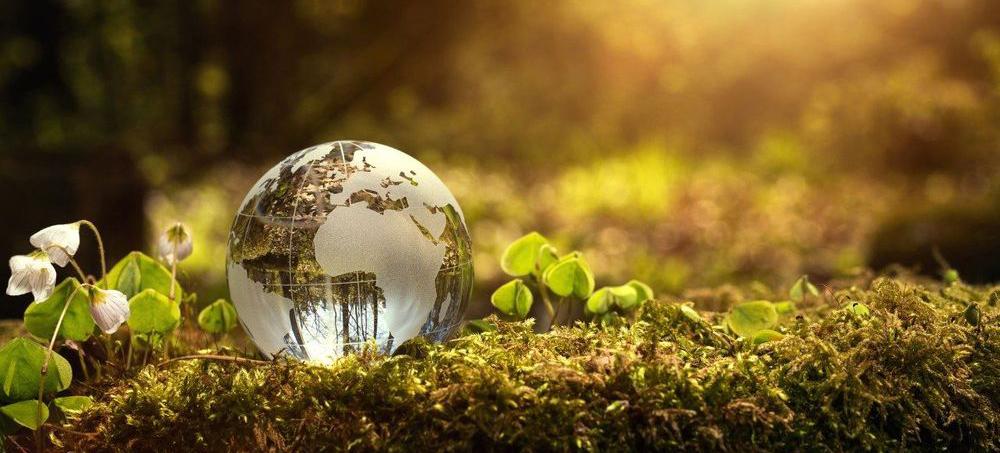 雅诗兰黛公司报告在环境可持续性目标方面取得“重大进展”