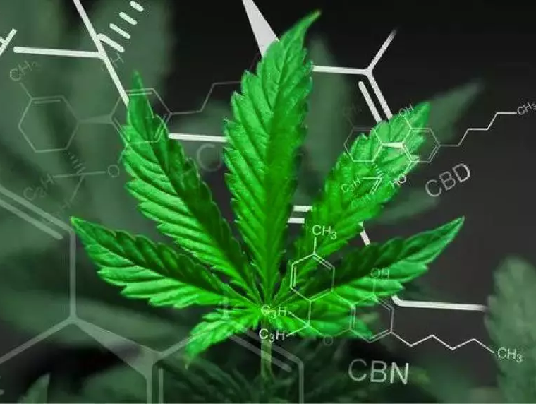 工业大麻品牌商天火云麻完成5亿人民币战略融资