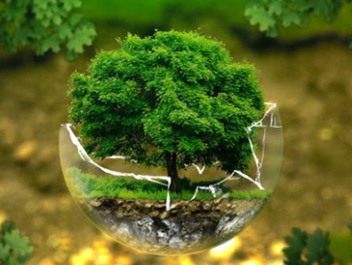 欧莱雅、汉高、LVMH、NATURA &CO 和联合利华联手打造全行业环境影响评估和评分系统