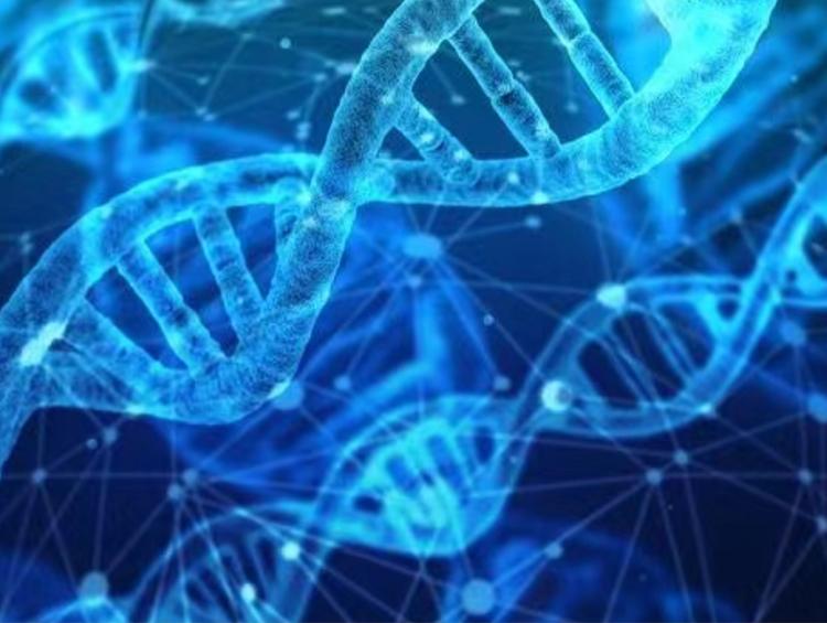 欧莱雅加码合成生物,上游原料布局再掀“风浪”