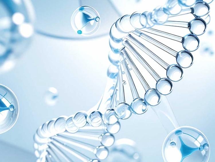 医美科技战打响！这7大新材料如何引领创新？| 科技新生力