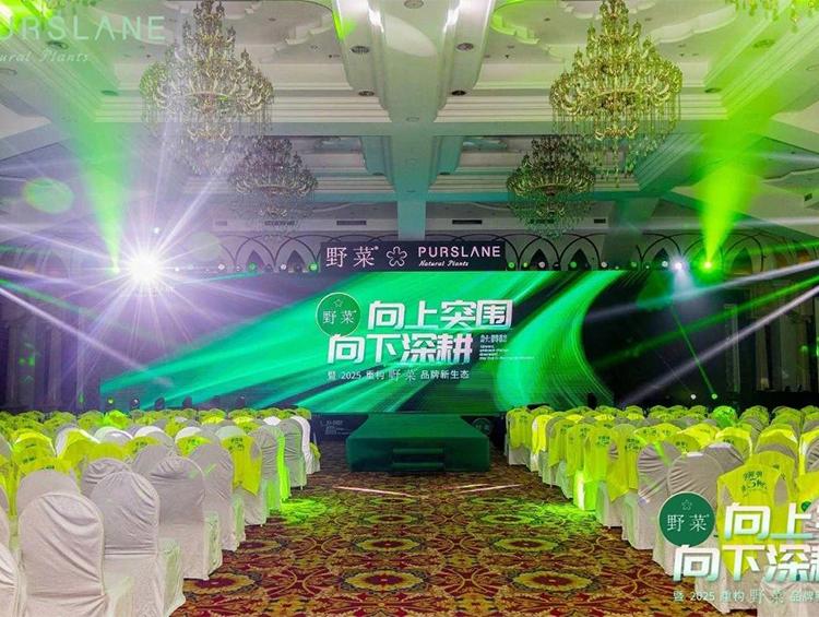 月销近万件,野菜如何靠三款创新产品突围CS渠道?