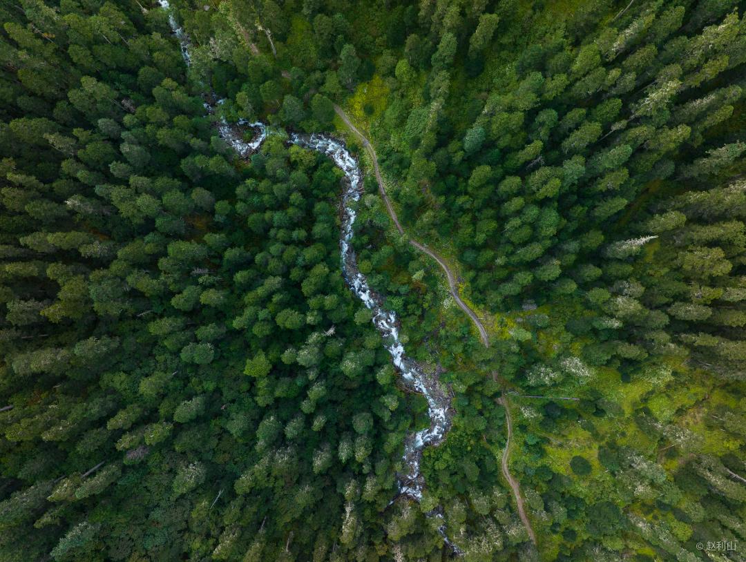 最新ESG报告发布！自然堂以“绿色美妆”重塑全球竞争力